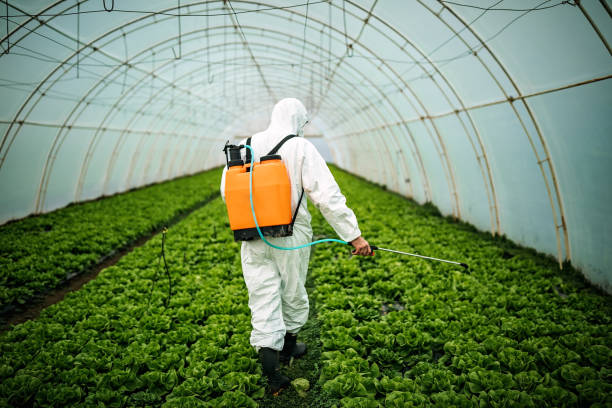 Best Best Pest Control Near Me  in Montezuma, IA