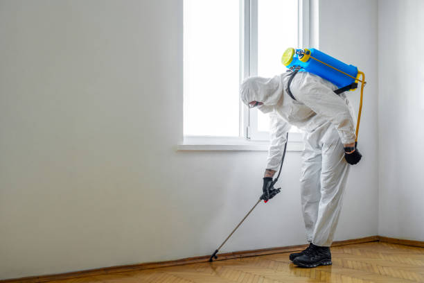 Best Pest Control Treatment  in Montezuma, IA