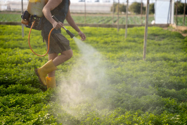 Best Wildlife Control Services  in Montezuma, IA