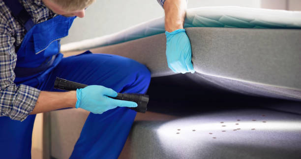 Best Pest Control Near Me in Montezuma, IA