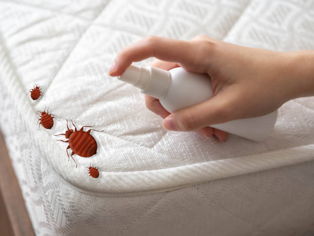 Best Local Pest Control Services  in Montezuma, IA