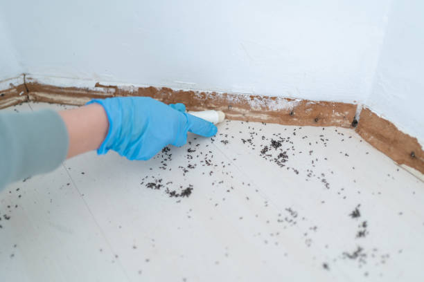 Best Pest Prevention Services  in Montezuma, IA